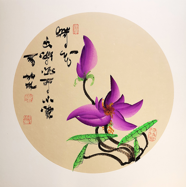 图片8.png
